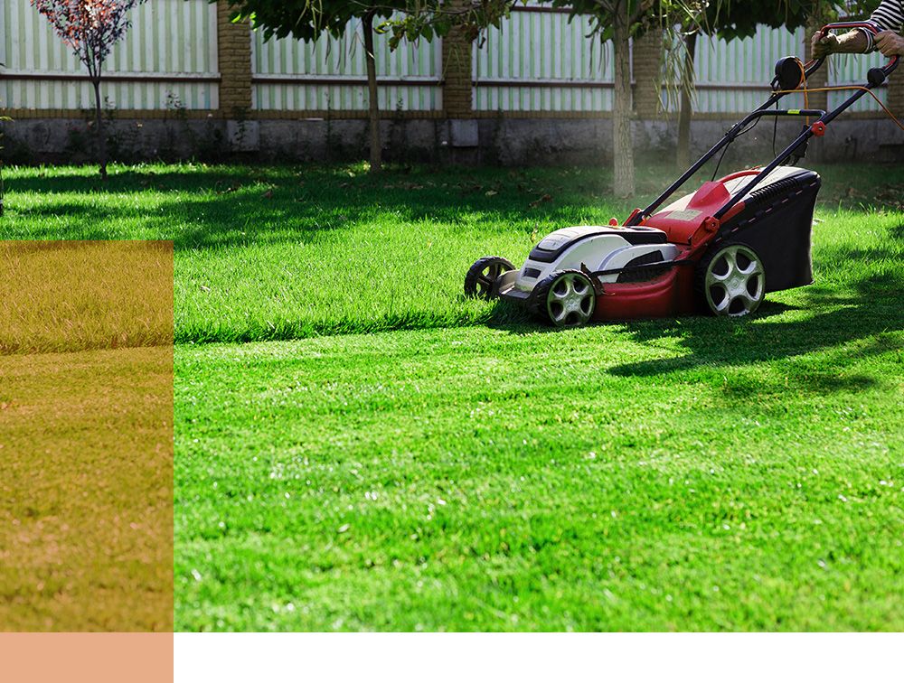 Montrose, TX Property Management Services Contact Us Now Shannon